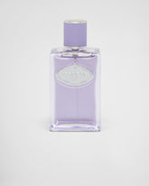 gid://shopify/Product/8252754985155_1
