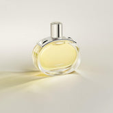 gid://shopify/Product/8253382656195_1