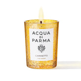 gid://shopify/Product/14951739621571_1