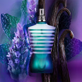 gid://shopify/Product/8253356703939_3