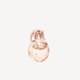 gid://shopify/Product/8253379543235_1