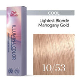 gid://shopify/Product/8252918792387_2