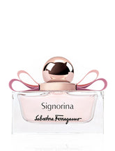gid://shopify/Product/8253213442243_1