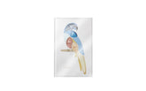 gid://shopify/Product/8252748234947_1