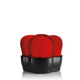 gid://shopify/Product/8252491497667_1