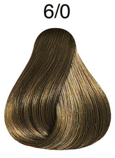 gid://shopify/Product/8252343320771_2