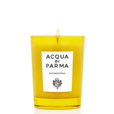 gid://shopify/Product/14951734771907_1