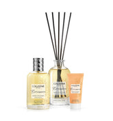 gid://shopify/Product/8252829991107_1