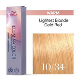 gid://shopify/Product/8252918759619_2