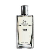 gid://shopify/Product/8252228796611_1