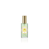 gid://shopify/Product/8253293068483_1