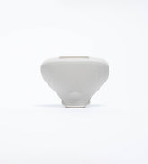 gid://shopify/Product/8252980986051_1