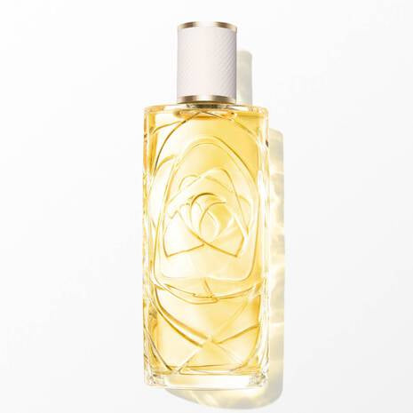 gid://shopify/Product/8252910371011_1
