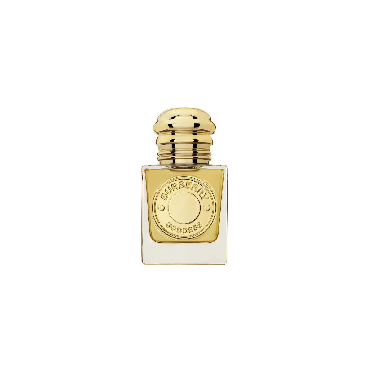 gid://shopify/Product/8252819046595_1