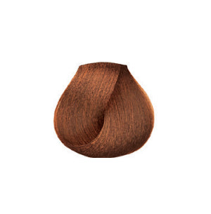 gid://shopify/Product/8252520136899_2
