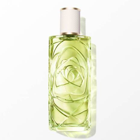 gid://shopify/Product/8252910469315_1