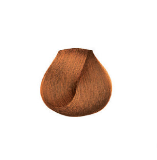 gid://shopify/Product/8252518334659_2