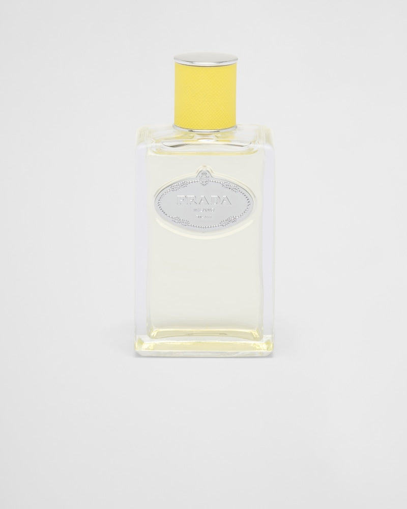gid://shopify/Product/8252697444547_1
