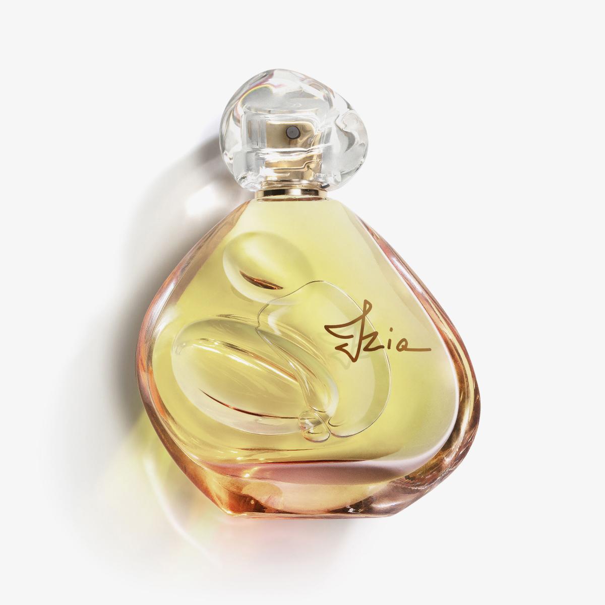 gid://shopify/Product/8252664119491_1