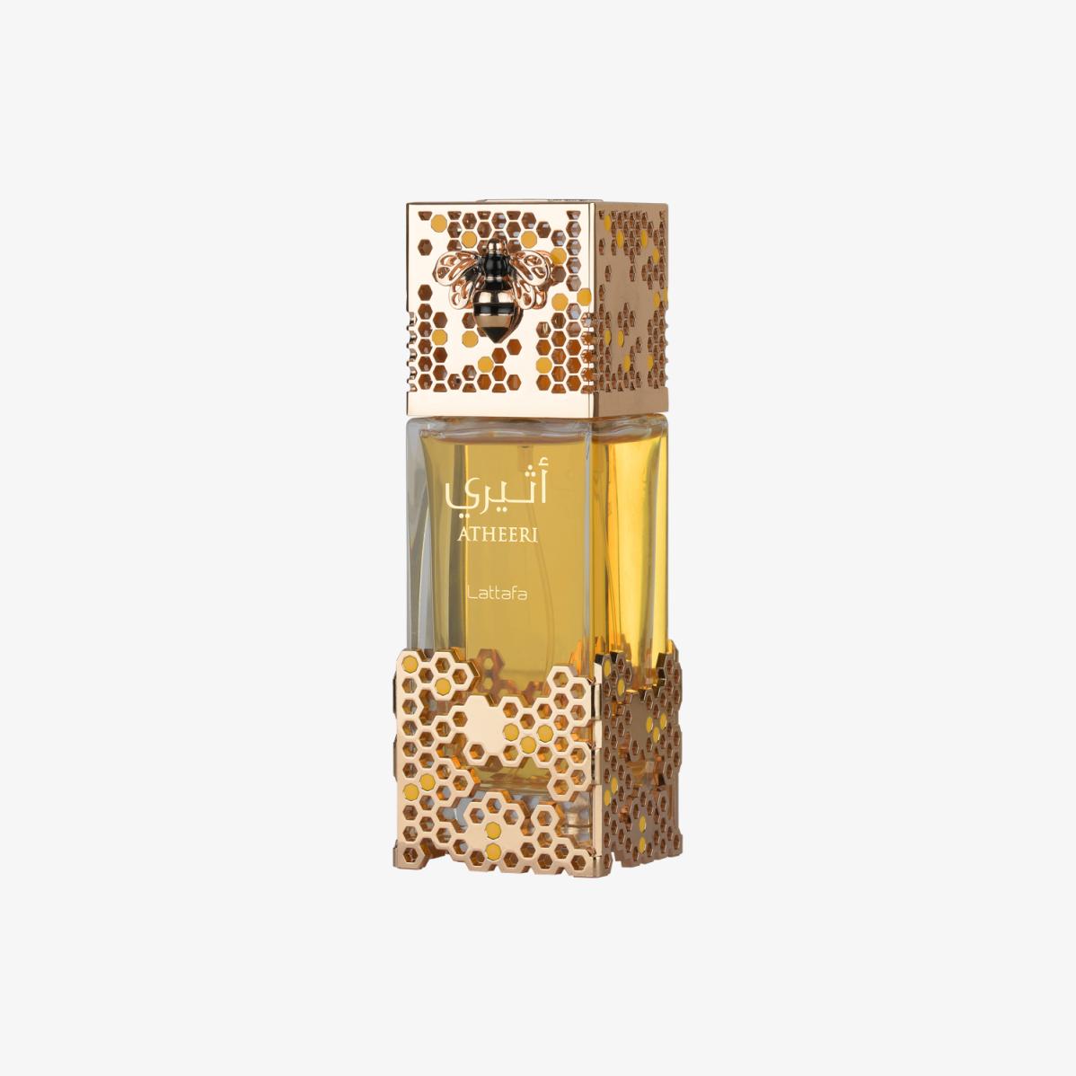 gid://shopify/Product/8252960145603_1