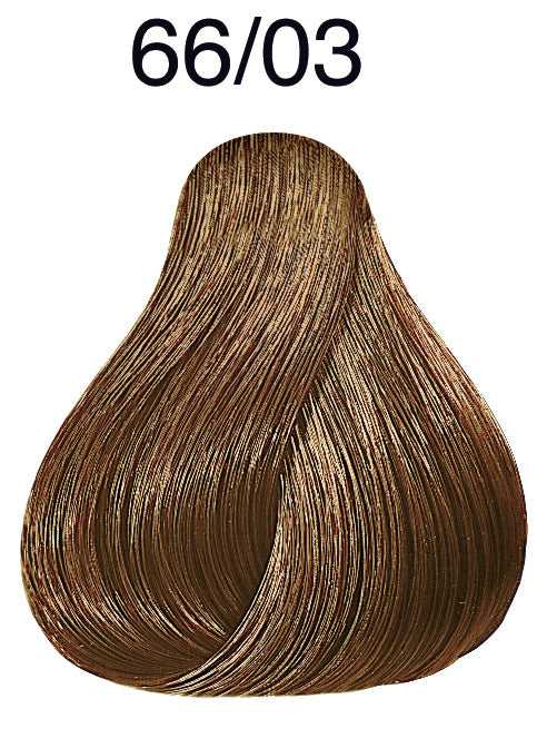 gid://shopify/Product/8252355739843_2