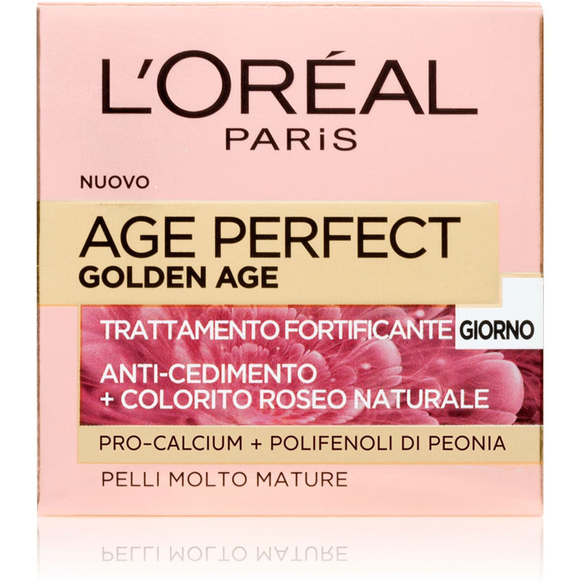 gid://shopify/Product/8252556902595_1