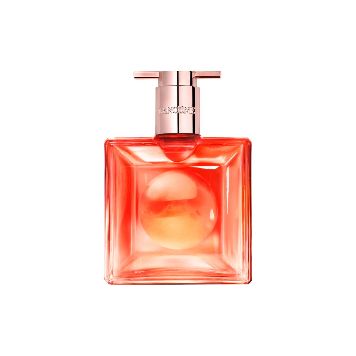 gid://shopify/Product/8252962406595_1