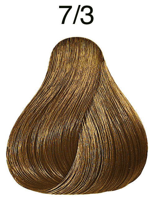 gid://shopify/Product/8252343517379_2