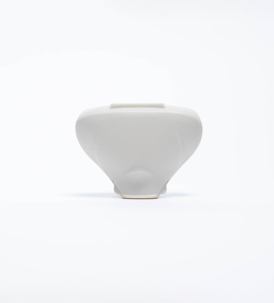 gid://shopify/Product/8252980986051_1
