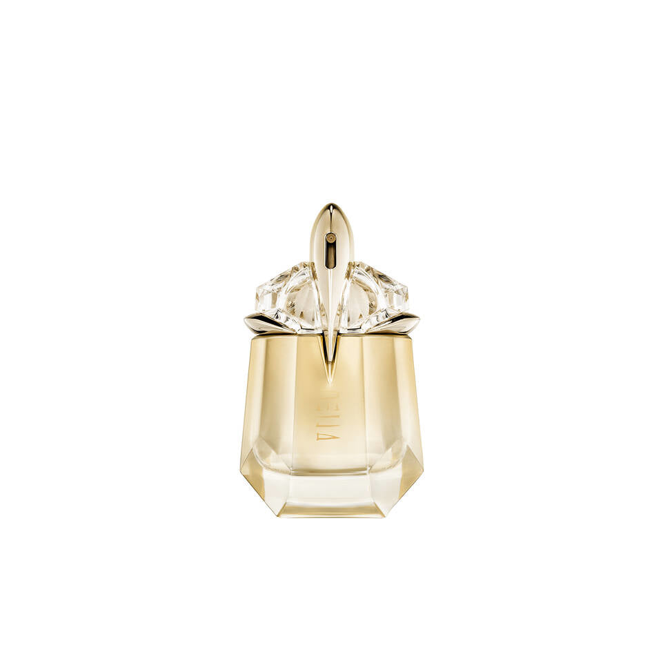 gid://shopify/Product/8252599271619_1