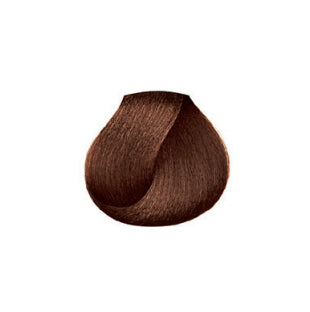 gid://shopify/Product/8252510470339_2
