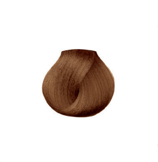 gid://shopify/Product/8252511355075_2